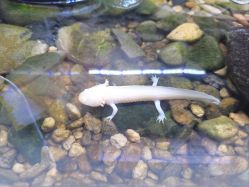 -Zoolung Zoolung动物主题公园(海信广场店)