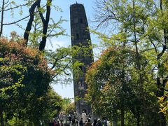 -上海佘山国家森林公园天马山园