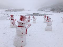 -太子岭滑雪场