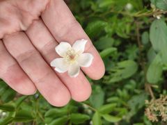 -金堂县云顶石城风景区