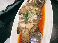 清蒸老虎斑-达叔香味海鲜(海棠68环球美食街店)