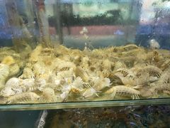 -兄弟爬爬虾(北京路店)