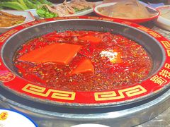 牛油红锅-蜀辣居鲜货老火锅(红牌楼店)
