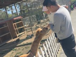 -上美四季动物农场
