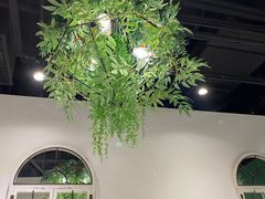 -肥佬大椰子鸡(三里屯3·3大厦店)