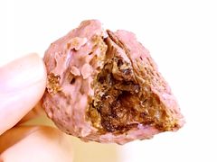 -都恩客(高岛屋百货店)
