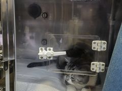 -美联众合动物医院·24h转诊中心