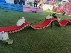 -萌宠亲子动物乐园(槐房万达店)