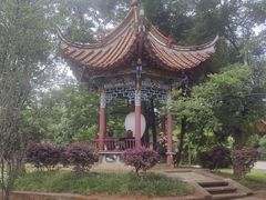 -庾园