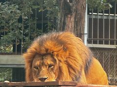 -昆明动物园