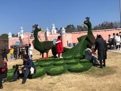 -武汉紫薇都市田园