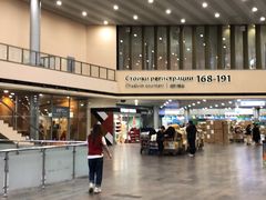 -谢列梅捷沃国际机场