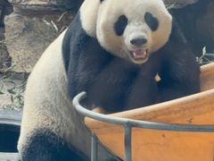 -石家庄市动物园