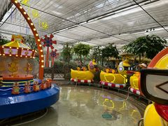 -南宫五洲植物乐园