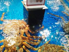 -盒马鲜生(莱蒙都会店)