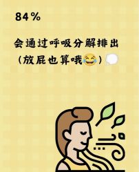 -Fundi张玉珊修身堂·indiba·BTL科技瘦身