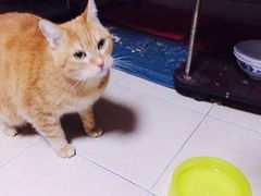-Oh My Dog宠物沙龙(伊珊娜皮毛护理店)