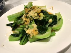 -新成海港大酒楼(康华路店)