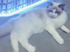 -零纪元VR体验馆·桌游(黄浦店)