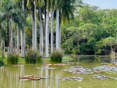 -中国科学院西双版纳热带植物园