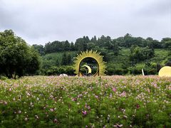 -南北湖风景区