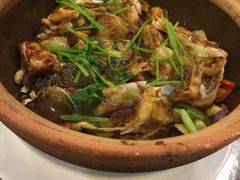 生啫大鱼面-美极鲜食坊(宝安南路店)