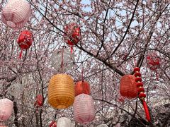 -春风习习
