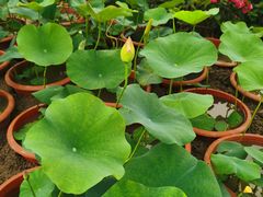 -狼山风景名胜区