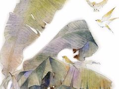 -文儒九号·闽菜馆(三坊七巷店)