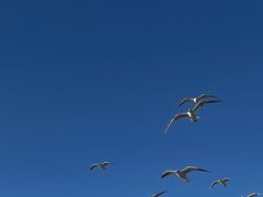 -海埂大坝