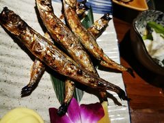 -晶吉·居酒屋·烧鸟·生鱼饭(中山区民主广场店)