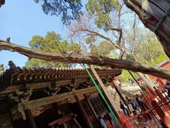 -晋祠公园