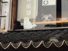 门面-狐狸家·酸奶酪专门店(平江路店)