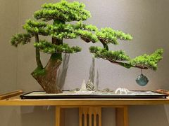 -耳域躺式采耳SPA馆(新街口店)