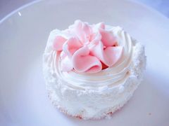 -中关村茶点