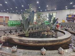 -夏家大锅台炖鱼馆