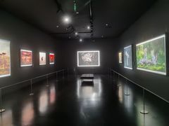 -罗红摄影艺术馆