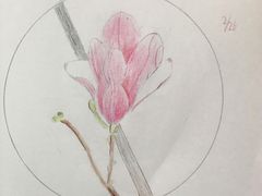 -东方童画少儿美术(莘庄体验馆)