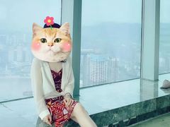 -WFC会仙楼观景台
