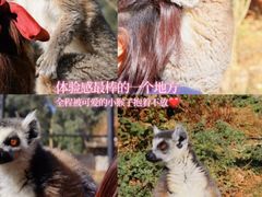 -云南野生动物园