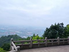 -杭州半山国家森林公园