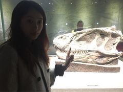 恐龙博物馆-自贡恐龙博物馆