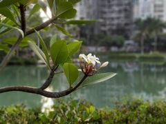 -江头公园
