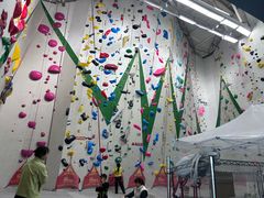 -绿壁虎攀岩基地(Tcar店)