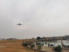 -空港花田景区