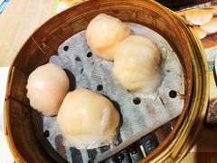 -添好运点心专门店(北角店)