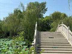 -扬州市茱萸湾风景区