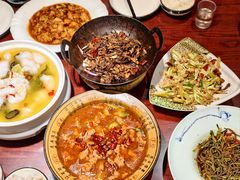 -邵年鸽(杨庄店)