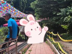 -富斯特索道