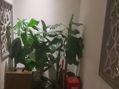 -小菜园新徽菜(芜湖镜湖苏宁店)